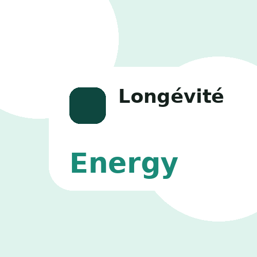Énergie récupération et longévité FITBEES